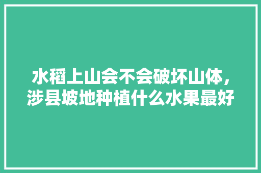 水稻上山会不会破坏山体，涉县坡地种植什么水果最好。 土壤施肥