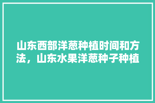 山东西部洋葱种植时间和方法，山东水果洋葱种子种植时间。 山东西部洋葱种植时间和方法，山东水果洋葱种子种植时间。 蔬菜种植