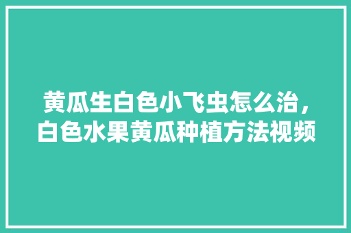 黄瓜生白色小飞虫怎么治，白色水果黄瓜种植方法视频。 黄瓜生白色小飞虫怎么治，白色水果黄瓜种植方法视频。 水果种植