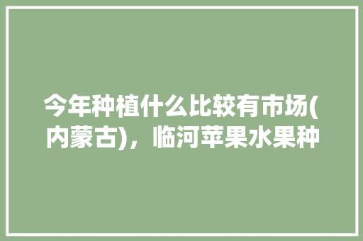 今年种植什么比较有市场(内蒙古)，临河苹果水果种植基地在哪里。 今年种植什么比较有市场(内蒙古)，临河苹果水果种植基地在哪里。 畜牧养殖