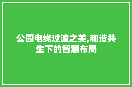 公园电线过渡之美,和谐共生下的智慧布局 水果种植