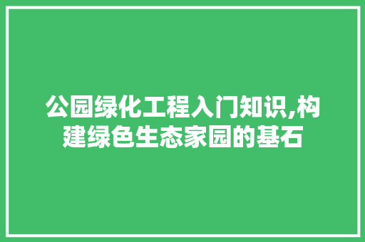 公园绿化工程入门知识,构建绿色生态家园的基石