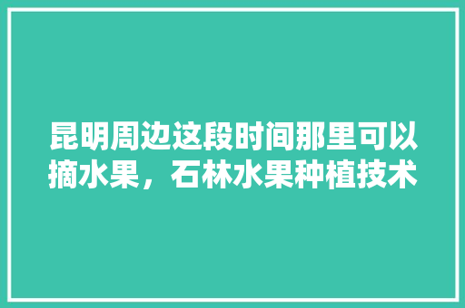 昆明周边这段时间那里可以摘水果，石林水果种植技术与管理。 昆明周边这段时间那里可以摘水果，石林水果种植技术与管理。 蔬菜种植