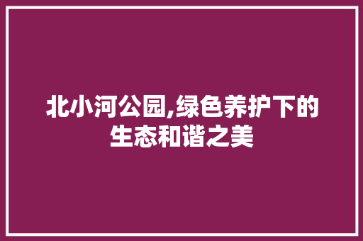 北小河公园,绿色养护下的生态和谐之美