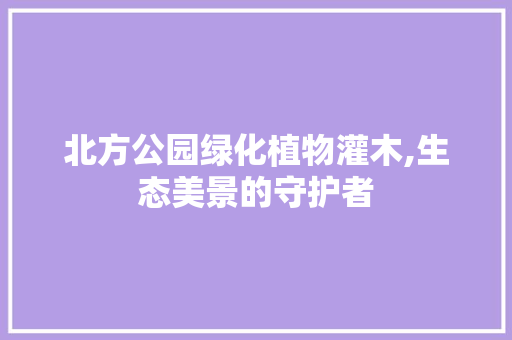 北方公园绿化植物灌木,生态美景的守护者