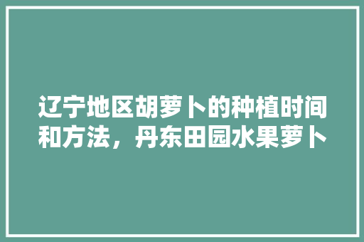 辽宁地区胡萝卜的种植时间和方法，丹东田园水果萝卜种植时间。 土壤施肥