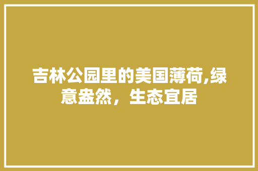 吉林公园里的美国薄荷,绿意盎然，生态宜居