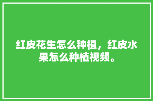 红皮花生怎么种植，红皮水果怎么种植视频。 红皮花生怎么种植，红皮水果怎么种植视频。 水果种植