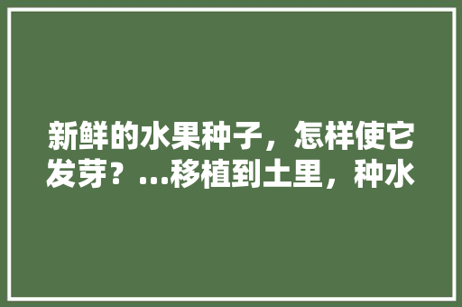 新鲜的水果种子，怎样使它发芽？…移植到土里，种水果种子种植方法视频。 新鲜的水果种子，怎样使它发芽？…移植到土里，种水果种子种植方法视频。 家禽养殖