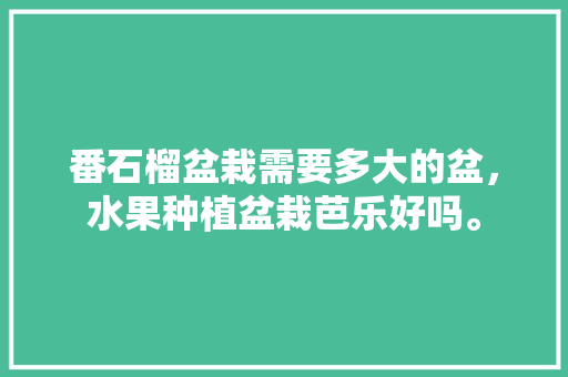 番石榴盆栽需要多大的盆，水果种植盆栽芭乐好吗。 土壤施肥