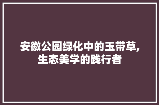 安徽公园绿化中的玉带草,生态美学的践行者