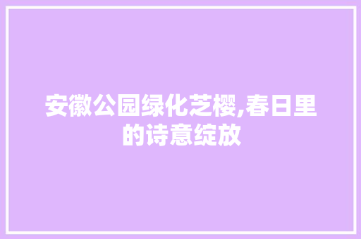 安徽公园绿化芝樱,春日里的诗意绽放