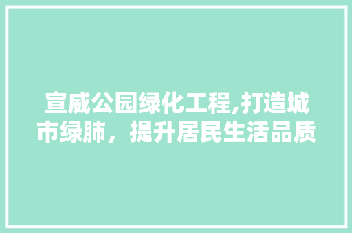 宣威公园绿化工程,打造城市绿肺，提升居民生活品质