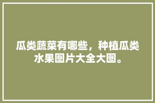 瓜类蔬菜有哪些，种植瓜类水果图片大全大图。 瓜类蔬菜有哪些，种植瓜类水果图片大全大图。 蔬菜种植