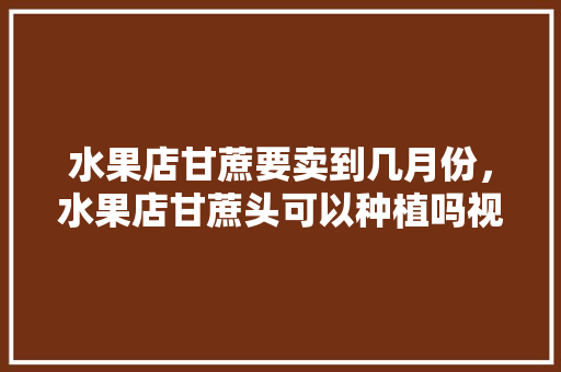 水果店甘蔗要卖到几月份，水果店甘蔗头可以种植吗视频。