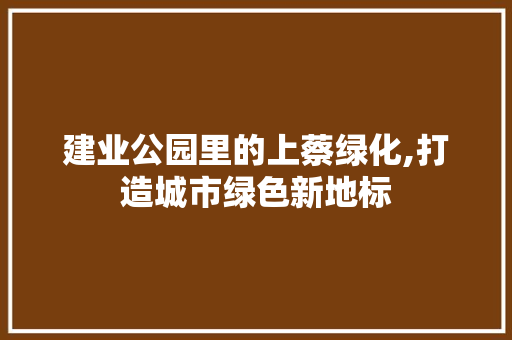 建业公园里的上蔡绿化,打造城市绿色新地标