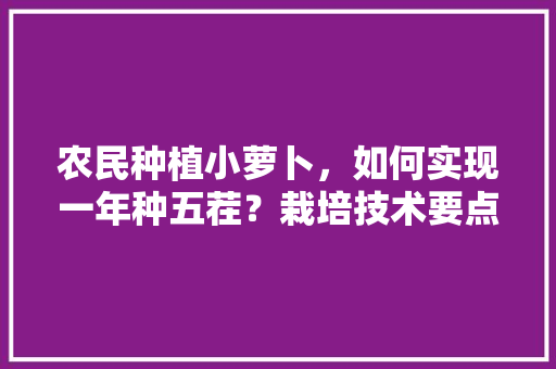 农民种植小萝卜，如何实现一年种五茬？栽培技术要点有哪些，水果小萝卜种植期多少天。 农民种植小萝卜，如何实现一年种五茬？栽培技术要点有哪些，水果小萝卜种植期多少天。 家禽养殖