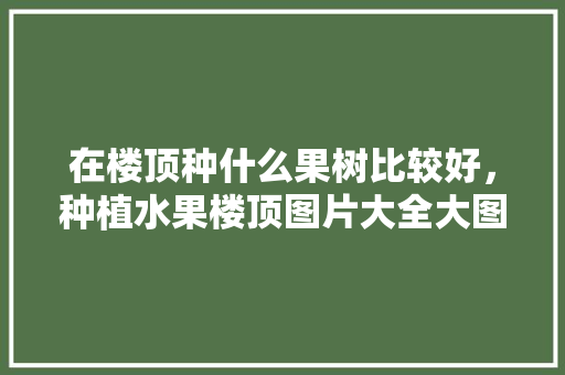 在楼顶种什么果树比较好，种植水果楼顶图片大全大图。 在楼顶种什么果树比较好，种植水果楼顶图片大全大图。 土壤施肥