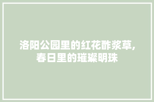 洛阳公园里的红花酢浆草,春日里的璀璨明珠 畜牧养殖