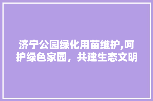 济宁公园绿化用苗维护,呵护绿色家园，共建生态文明