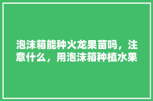 泡沫箱能种火龙果苗吗，注意什么，用泡沫箱种植水果可以吗。 泡沫箱能种火龙果苗吗，注意什么，用泡沫箱种植水果可以吗。 蔬菜种植