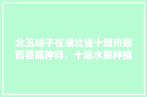 北五味子在湖北省十堰市郧西县能种吗，十堰水果种植基地有哪些。 北五味子在湖北省十堰市郧西县能种吗，十堰水果种植基地有哪些。 蔬菜种植