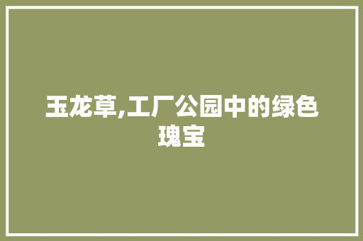 玉龙草,工厂公园中的绿色瑰宝 蔬菜种植