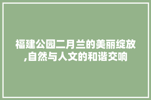 福建公园二月兰的美丽绽放,自然与人文的和谐交响