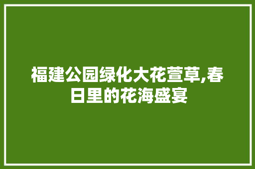 福建公园绿化大花萱草,春日里的花海盛宴