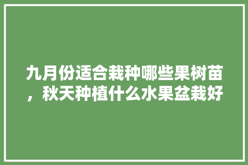 九月份适合栽种哪些果树苗，秋天种植什么水果盆栽好。 九月份适合栽种哪些果树苗，秋天种植什么水果盆栽好。 土壤施肥