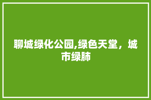 聊城绿化公园,绿色天堂，城市绿肺