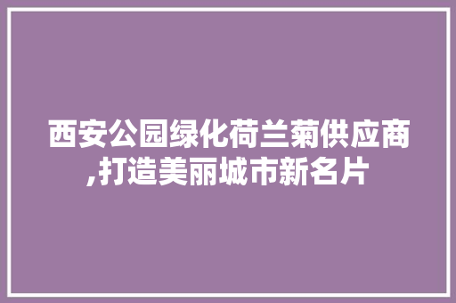 西安公园绿化荷兰菊供应商,打造美丽城市新名片 家禽养殖