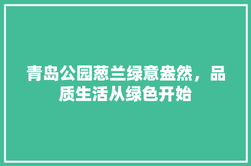 青岛公园葱兰绿意盎然，品质生活从绿色开始