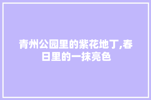 青州公园里的紫花地丁,春日里的一抹亮色