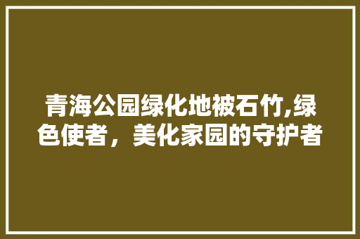 青海公园绿化地被石竹,绿色使者，美化家园的守护者