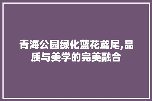 青海公园绿化蓝花鸢尾,品质与美学的完美融合