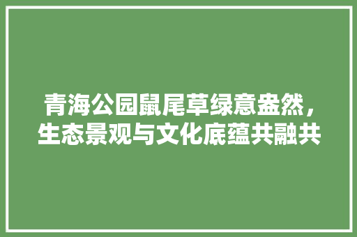 青海公园鼠尾草绿意盎然，生态景观与文化底蕴共融共生