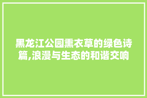 黑龙江公园熏衣草的绿色诗篇,浪漫与生态的和谐交响