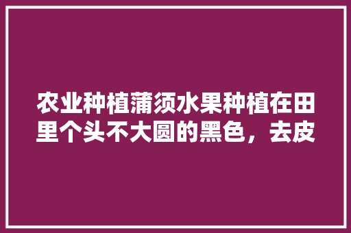 农业种植蒲须水果种植在田里个头不大圆的黑色，去皮吃，先进农业种植技术水果有哪些。