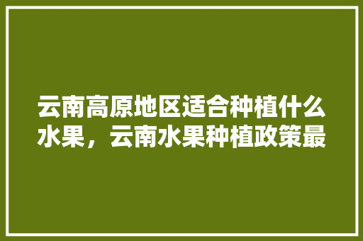 云南高原地区适合种植什么水果，云南水果种植政策最新。