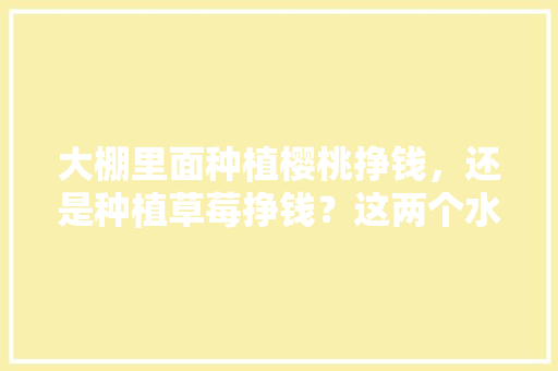 大棚里面种植樱桃挣钱，还是种植草莓挣钱？这两个水果哪个效益高，种植草莓水果怎么种植。