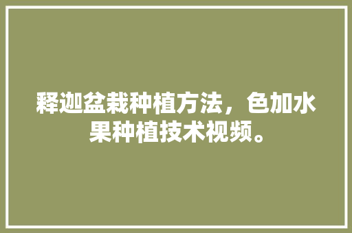 释迦盆栽种植方法，色加水果种植技术视频。