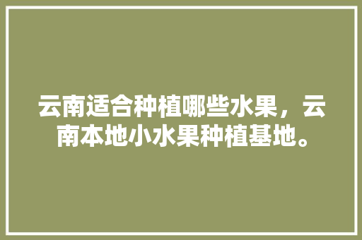 云南适合种植哪些水果，云南本地小水果种植基地。