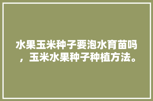 水果玉米种子要泡水育苗吗，玉米水果种子种植方法。