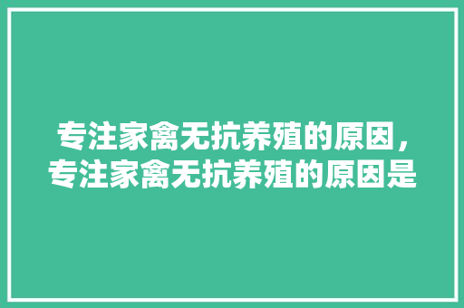 专注家禽无抗养殖的原因，专注家禽无抗养殖的原因是什么。 专注家禽无抗养殖的原因，专注家禽无抗养殖的原因是什么。 家禽养殖