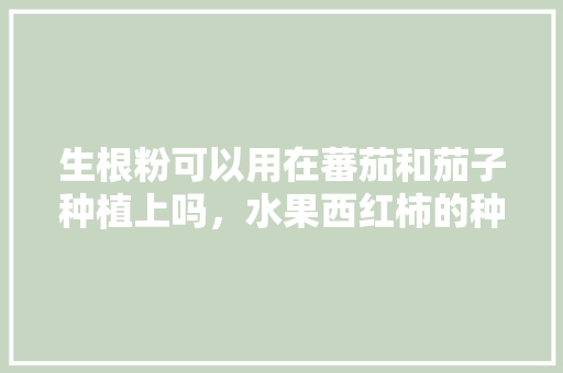 生根粉可以用在蕃茄和茄子种植上吗，水果西红柿的种植过程视频。