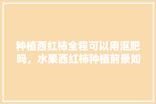 种植西红柿全程可以用沤肥吗，水果西红柿种植前景如何。