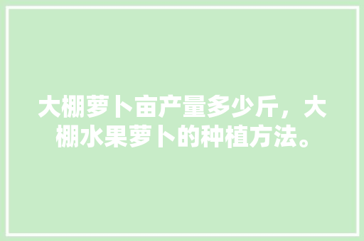 大棚萝卜亩产量多少斤，大棚水果萝卜的种植方法。