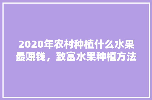 2020年农村种植什么水果最赚钱，致富水果种植方法。