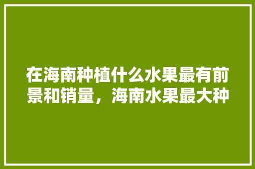 在海南种植什么水果最有前景和销量，海南水果最大种植基地在哪里。